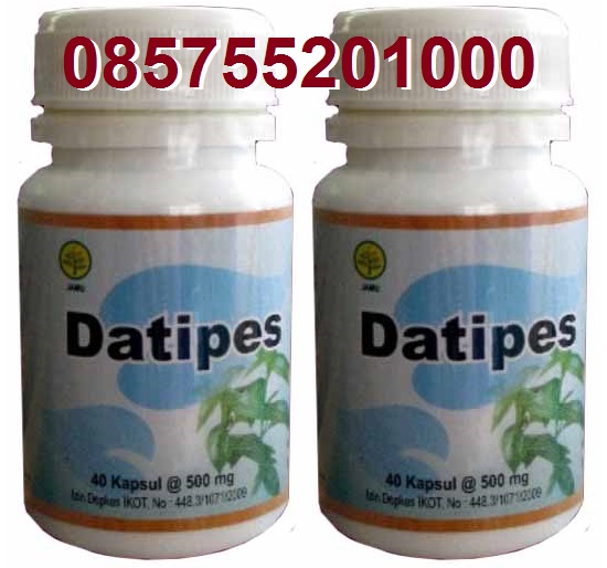 DATIPES (Obat Herbal Tipes) | HERBALSEMBUHKU ...